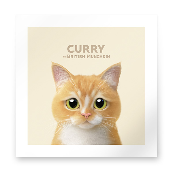 Curry Art Print