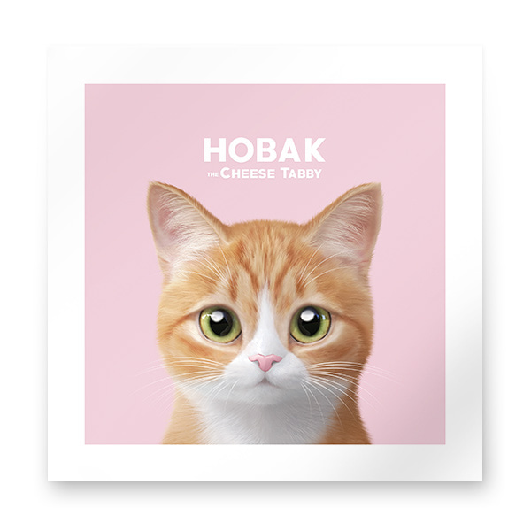 Hobak the Cheese Tabby Art Print