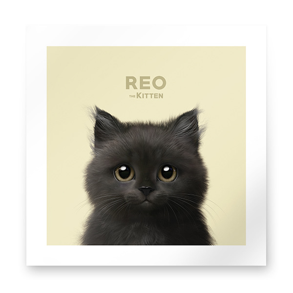 Reo the Kitten Art Print