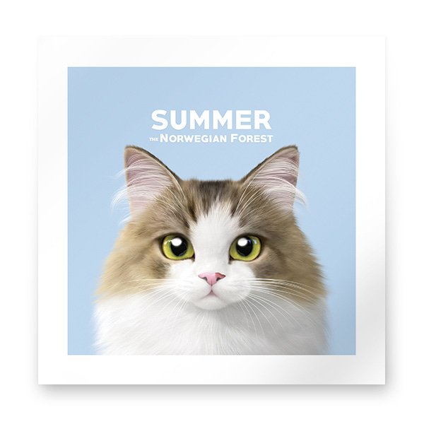 Summer the Norwegian Froest Art Print