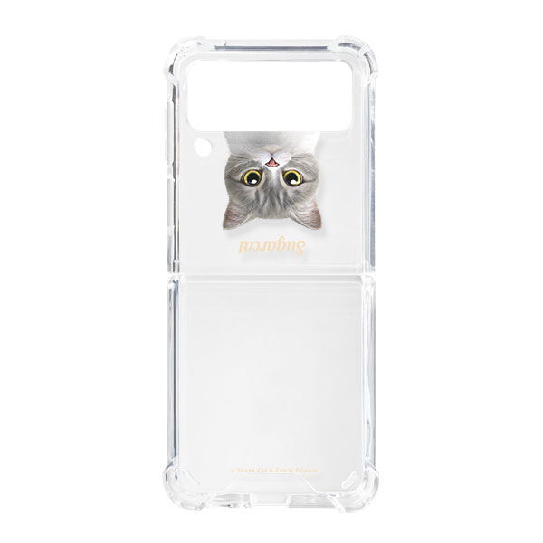 Moon the British Cat Simple Shockproof Gelhard Case for ZFLIP series
