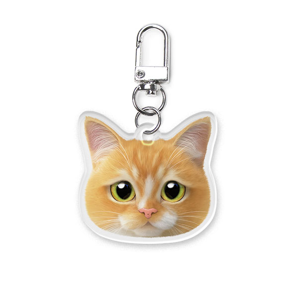 Curry Face Acrylic Keyring (2mm Thick)