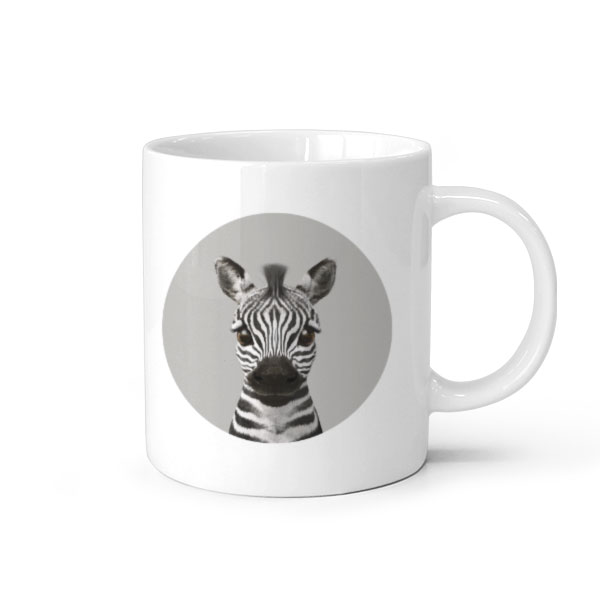 Zebra the Plains Zebra Mug