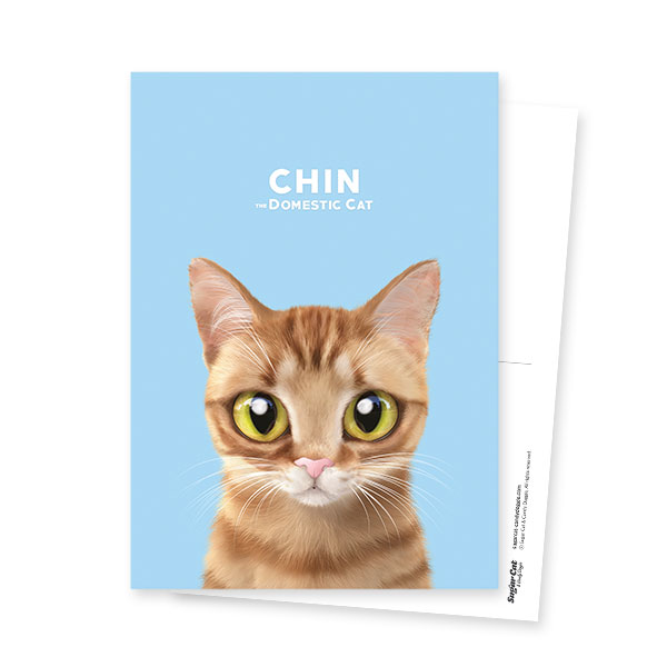Chin Postcard