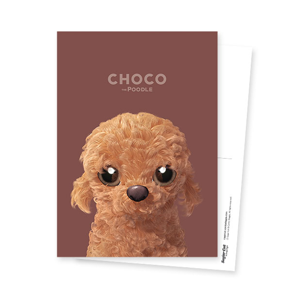 Choco the Poodle Postcard