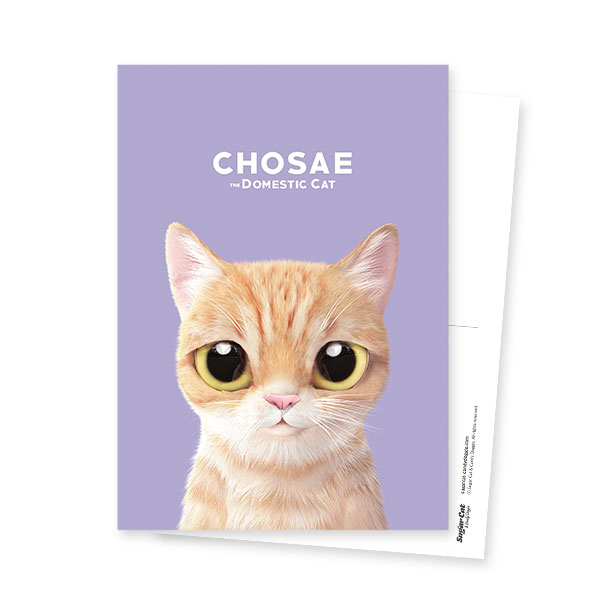 Chosae Postcard