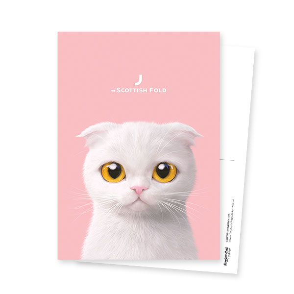 J the Cat Postcard