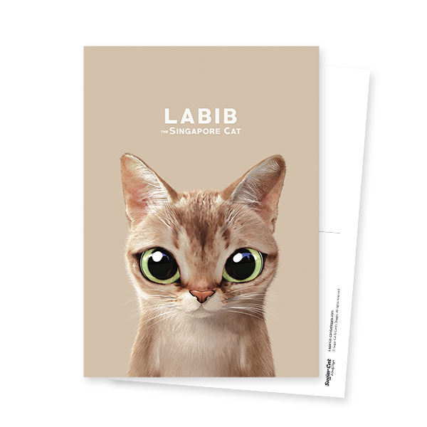 Labib Postcard