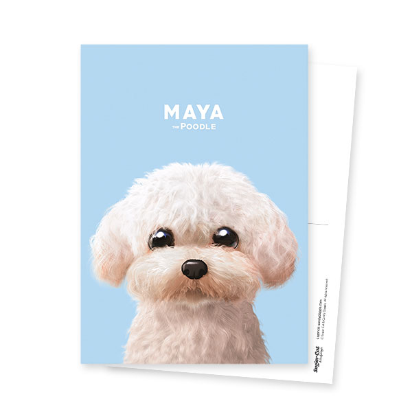 Maya the Poodle Postcard