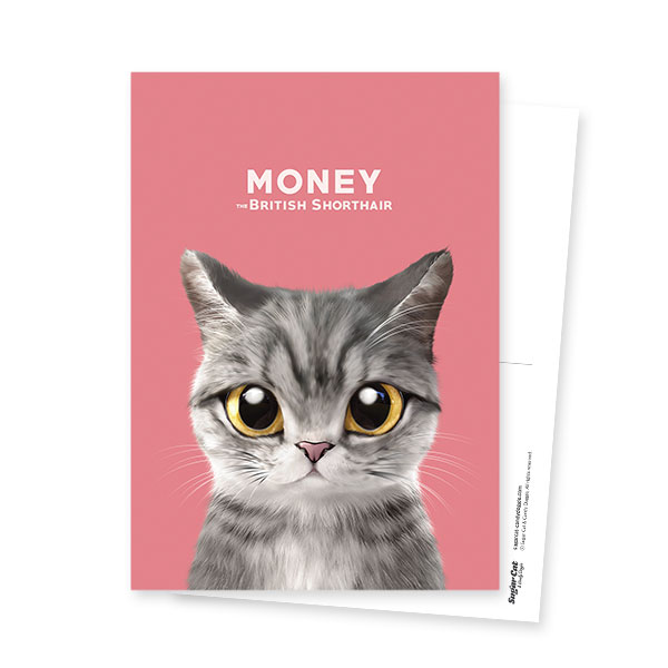 Money the cat Postcard