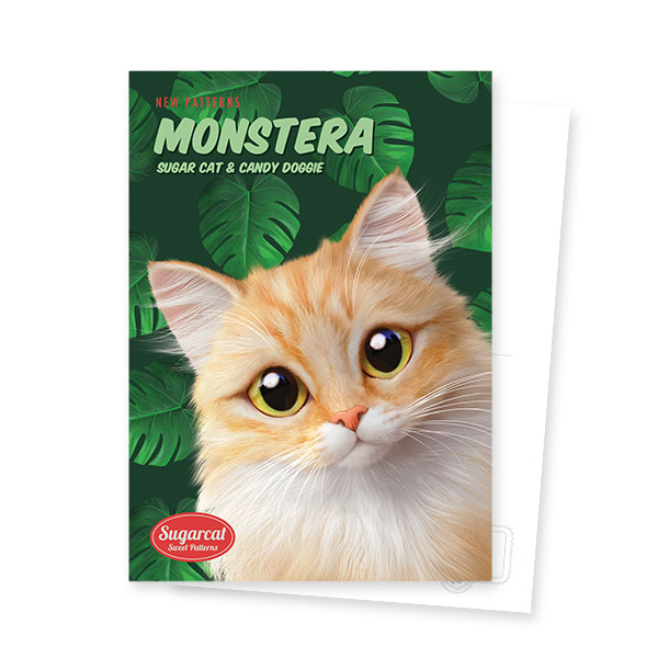 Nova’s Monstera New Patterns Postcard