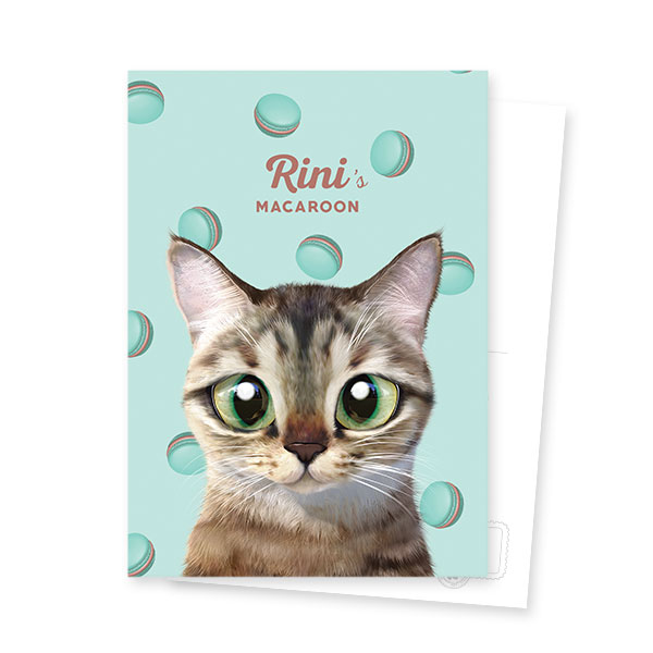 Rini’s Macaroon Postcard