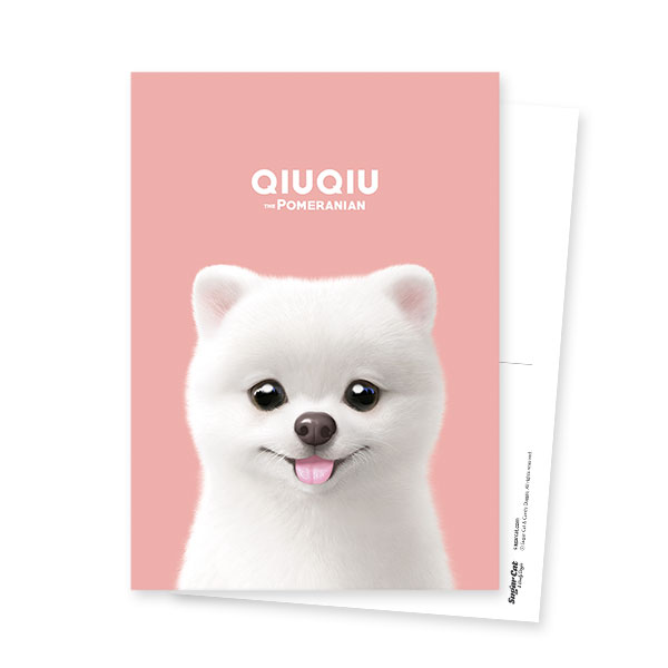 QiuQiu the Pomeranian Postcard