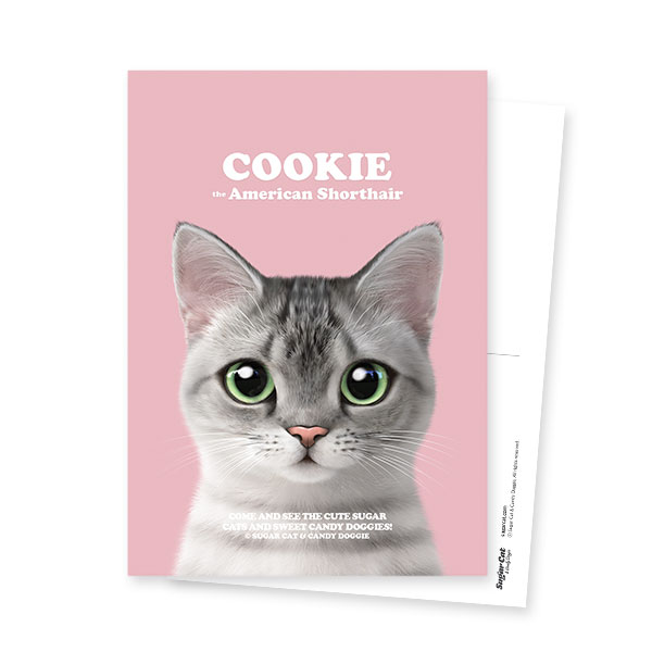 Cookie the American Shorthair Retro Postcard