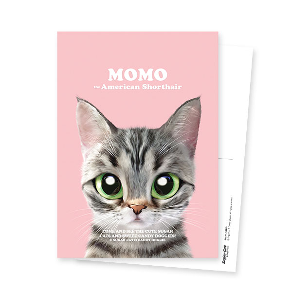 Momo the American shorthair cat Retro Postcard