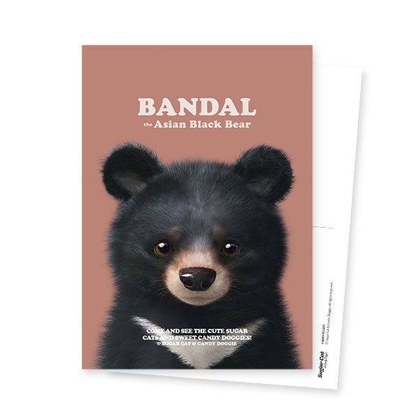 Bandal the Aisan Black Bear Retro Postcard