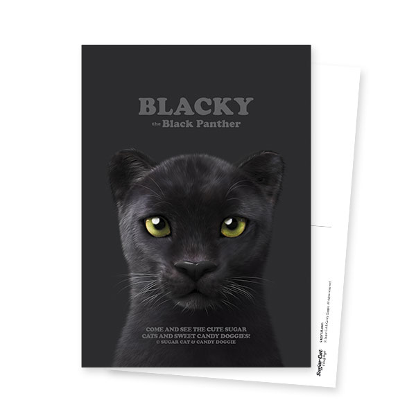 Blacky the Black Panther Retro Postcard