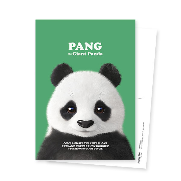 Pang the Giant Panda Retro Postcard