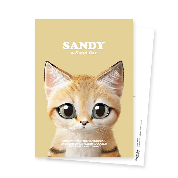Sandy the Sand cat Retro Postcard
