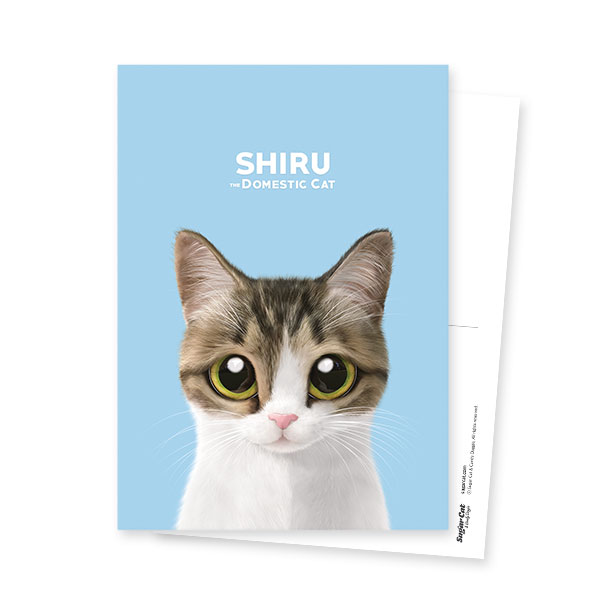 Shiru Postcard