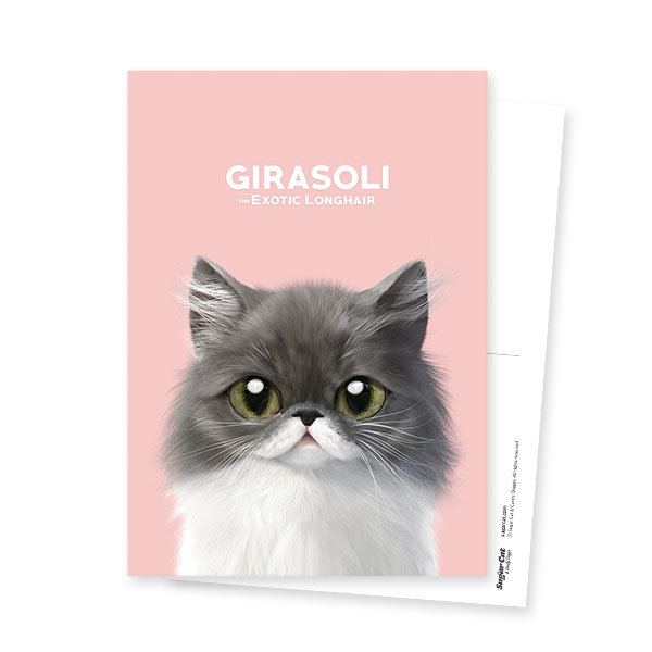 Girasoli Postcard