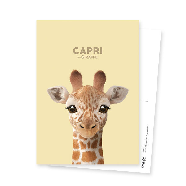 Capri the Giraffe Postcard