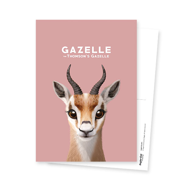 Gazelle the Thomson’s Gazelle Postcard