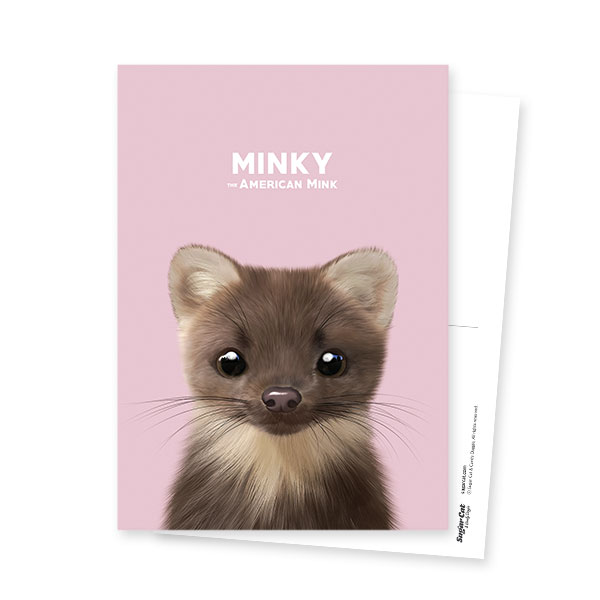 Minky the American Mink Postcard