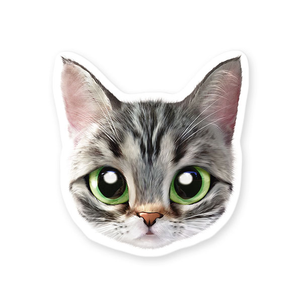 Momo the American shorthair cat Face Deco Sticker