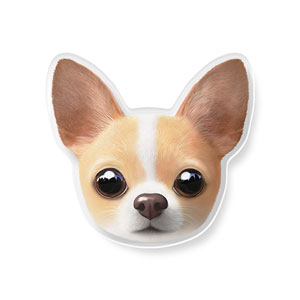 Yebin the Chihuahua Face Acrylic Tok