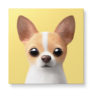 Yebin the Chihuahua Art Canvas
