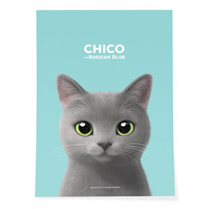 Chico the Russian Blue Art Poster