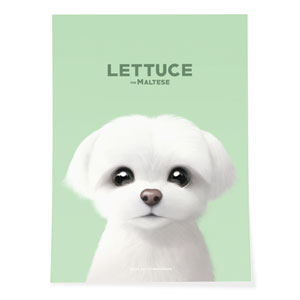 Lettuce the Meltese Art Poster