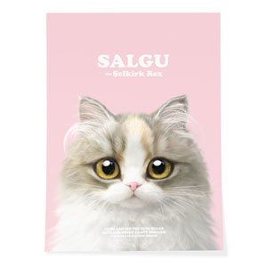Salgu the Selkirk Rex Retro Art Poster