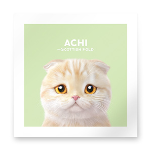 Achi Art Print