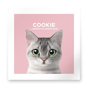 Cookie the American Shorthair Art Print