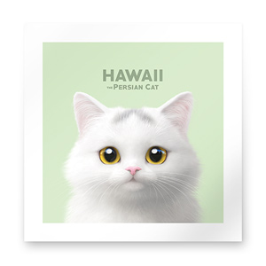 Hawaii Art Print