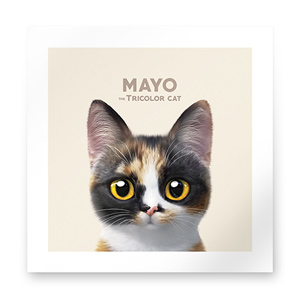 Mayo the Tricolor cat Art Print