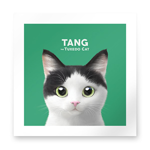 Tang Art Print