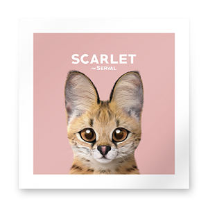 Scarlet the Serval Art Print