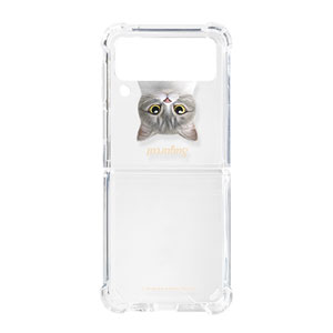Moon the British Cat Simple Shockproof Gelhard Case for ZFLIP series
