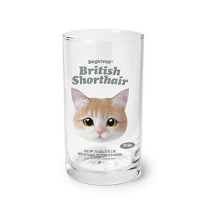 Yuja the British Shorthair TypeFace Cool Glass
