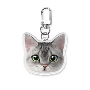 Cookie the American Shorthair Face Acrylic Keyring (2mm Thick)