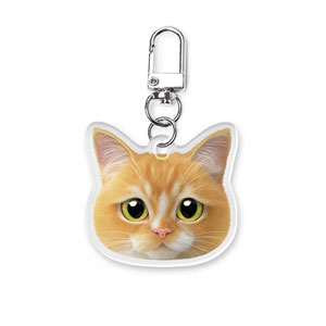 Curry Face Acrylic Keyring (2mm Thick)