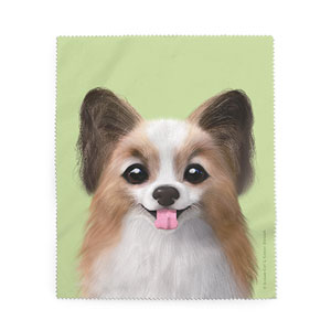 Jerry the Papillon Cleaner