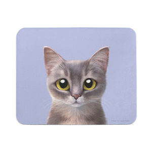 Leo the Abyssinian Blue Cat Mouse Pad