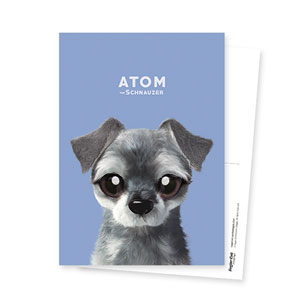 Atom the Schnauzer Postcard