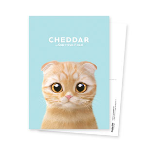 Cheddar Postcard