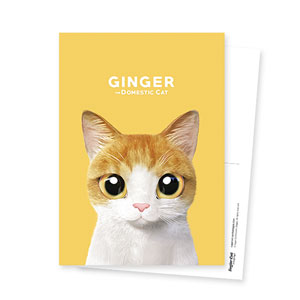 Ginger Postcard