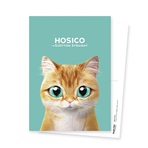 Hosico Postcard